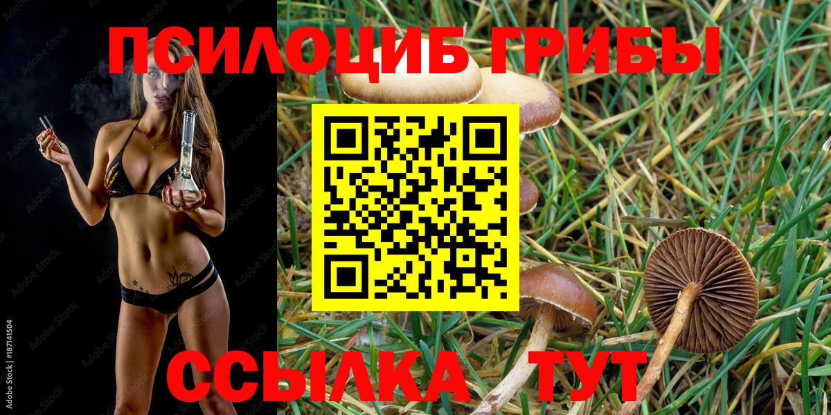 Галлюциногенные грибы ЛСД Печора